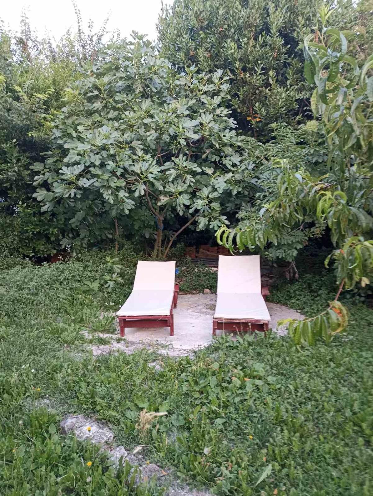 Kamp Seosko Domacinstvo Radman Hotel Herceg Novi Exterior photo